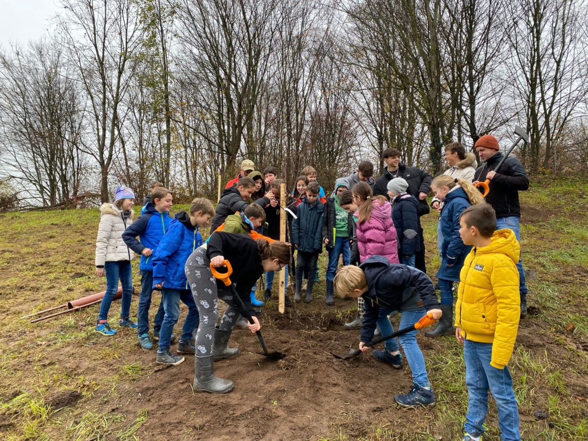 Pflanzaktion „Obstbäume“