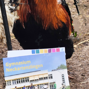 Tag der offenen Tür 2025