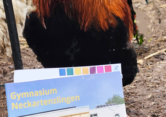 Tag der offenen Tür 2025