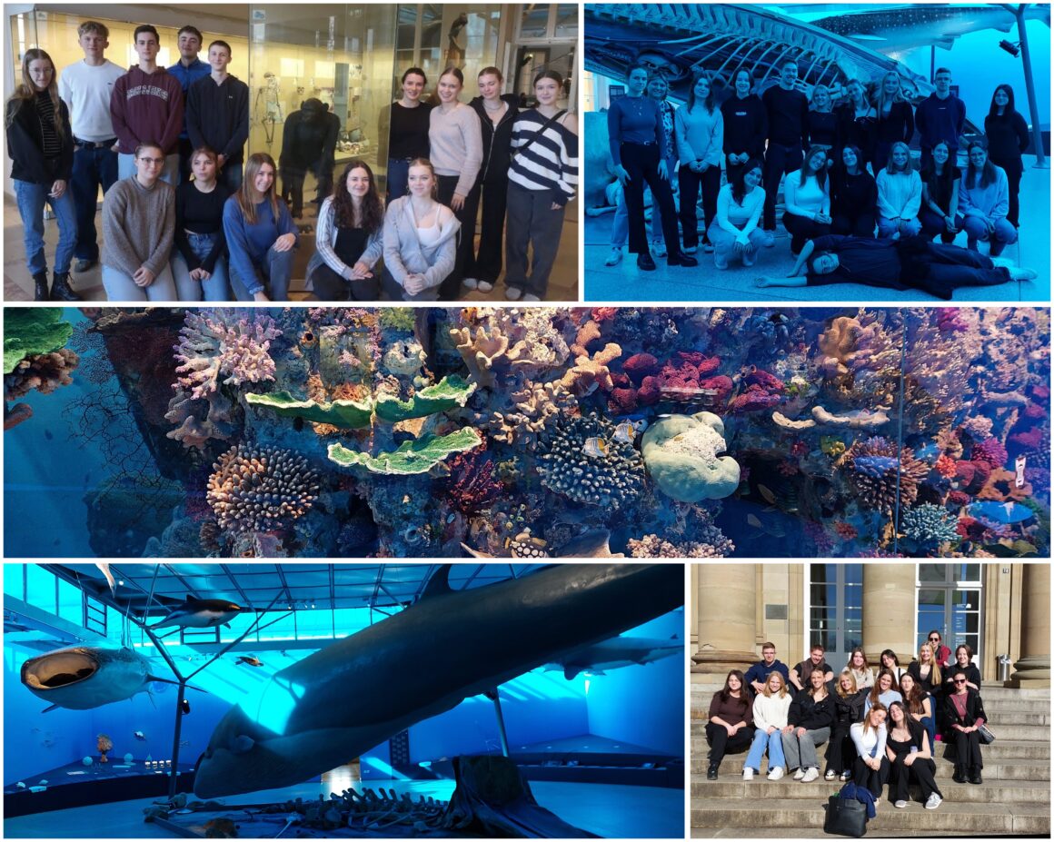 Besuch im Rosensteinmuseum