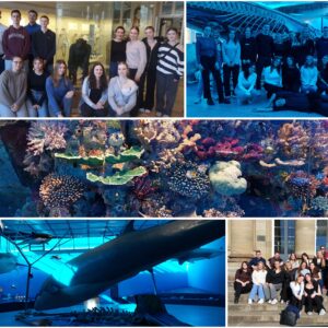 Besuch im Rosensteinmuseum