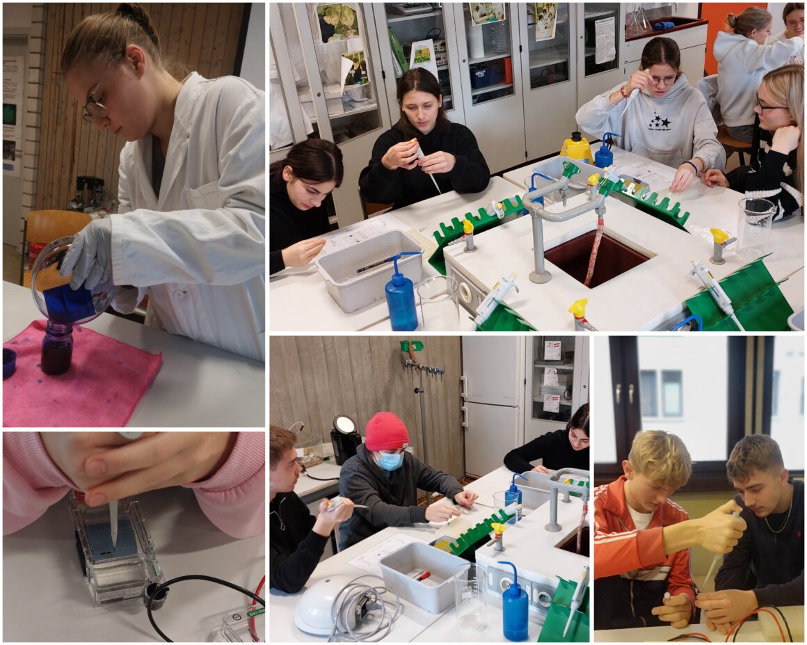 Molekularbiologisches Praktikum der JG II