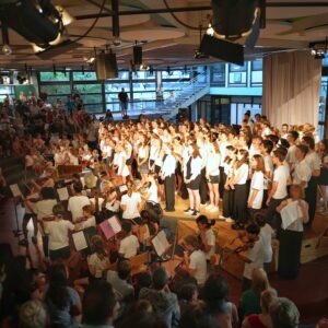 Sommerkonzert 2025 – Ein unvergesslicher Abend voller Musik und Sonne