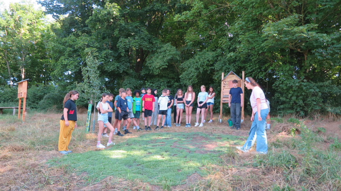 Spannende Einblicke in das Reich der Bienen