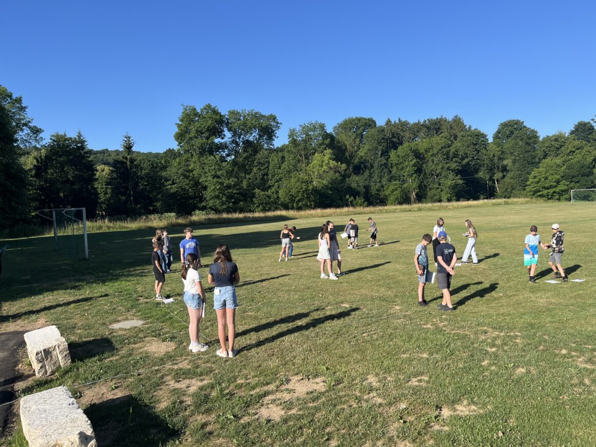 Beitrag für die Wissenschaft – 7c forscht über Ameisen