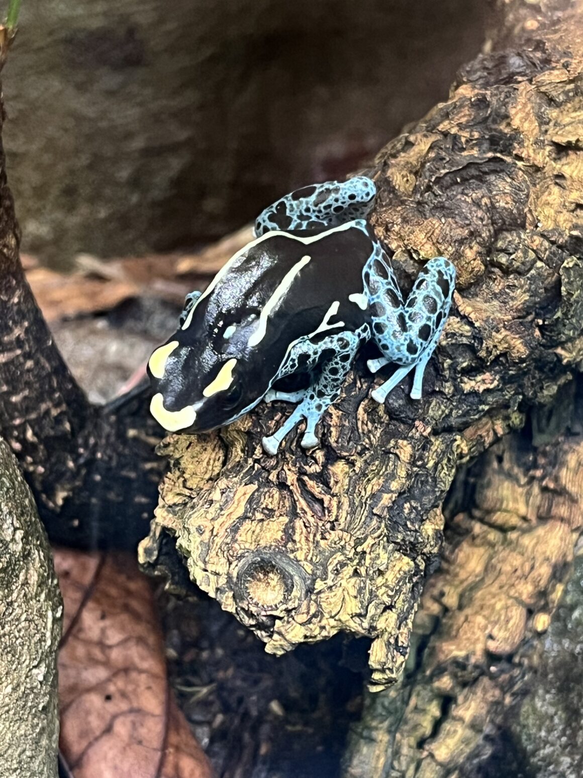 Besuch der Stufe 6 in der Wilhelma